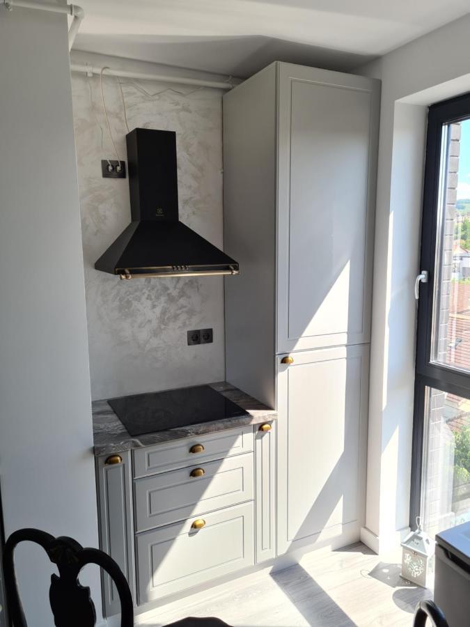 Parisian Apartment Cluj エクステリア 写真